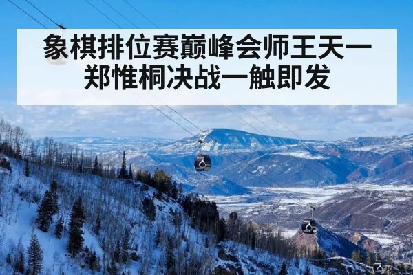 象棋排位赛巅峰会师王天一郑惟桐决战一触即发